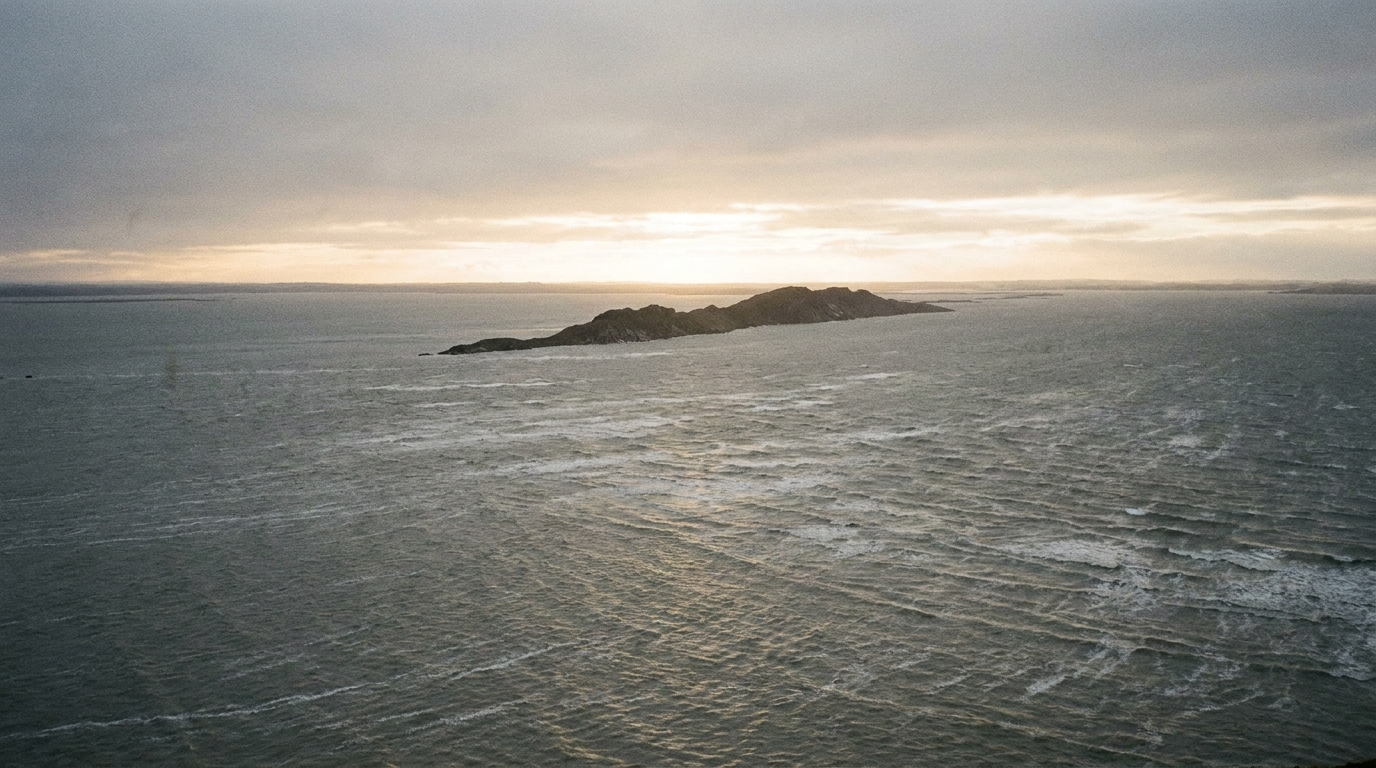 A strong wind sweeping across a vast grey floodwater at dawn, the first dark ridge of a mountaintop breaking the surface, pale light along the horizon, no ark, no people, no faces, no text