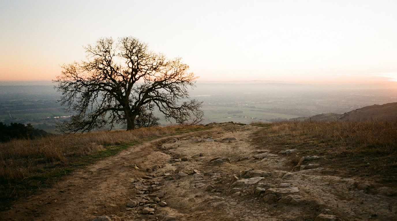 Abraham Pleads for Sodom: Why Did God Tell Him First? (Genesis 18)